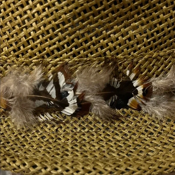 Brown Fedora Hat with Feather Band - Picture 14 of 16
